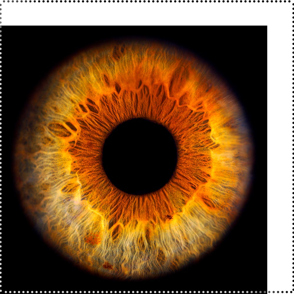 50x50