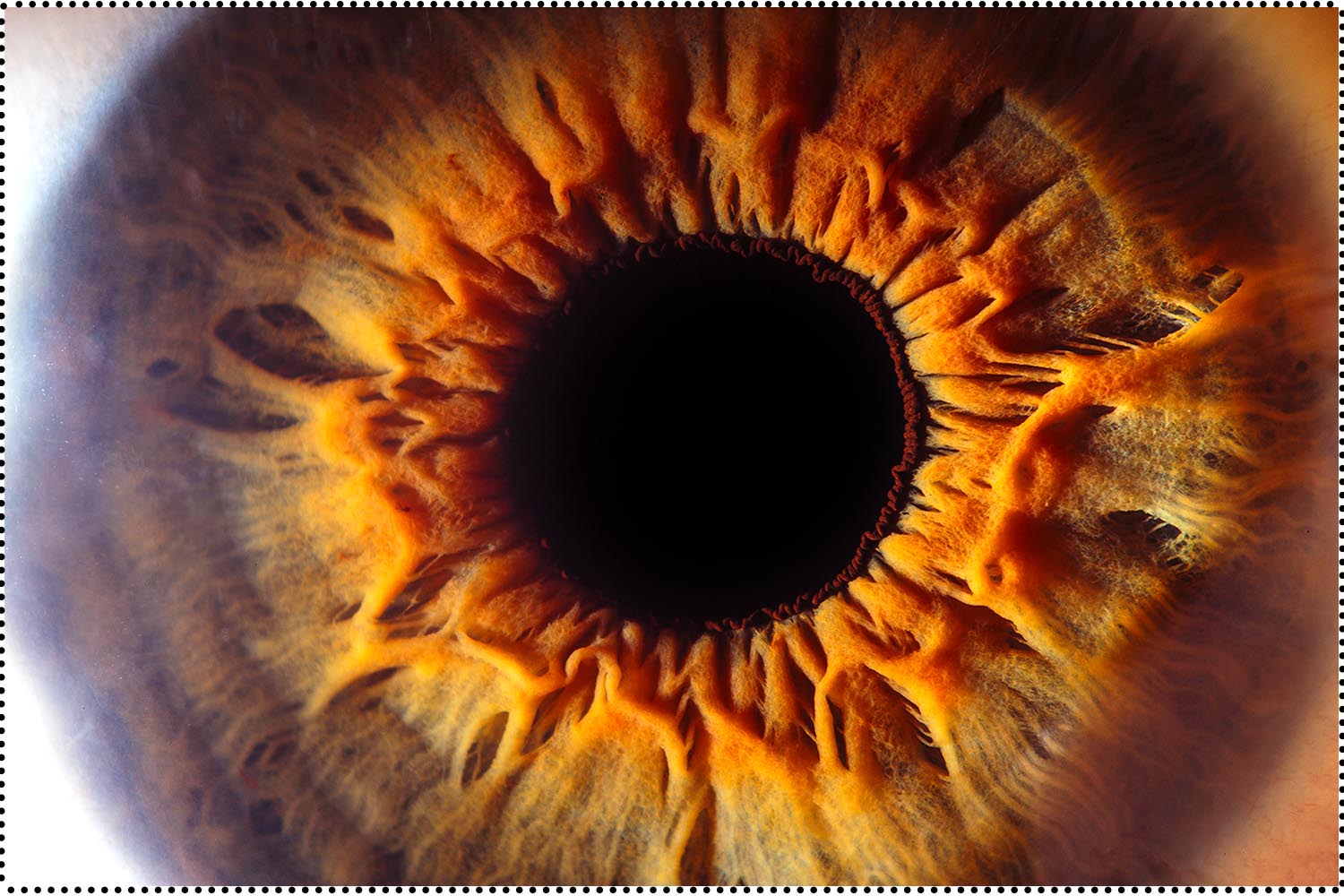 60x40